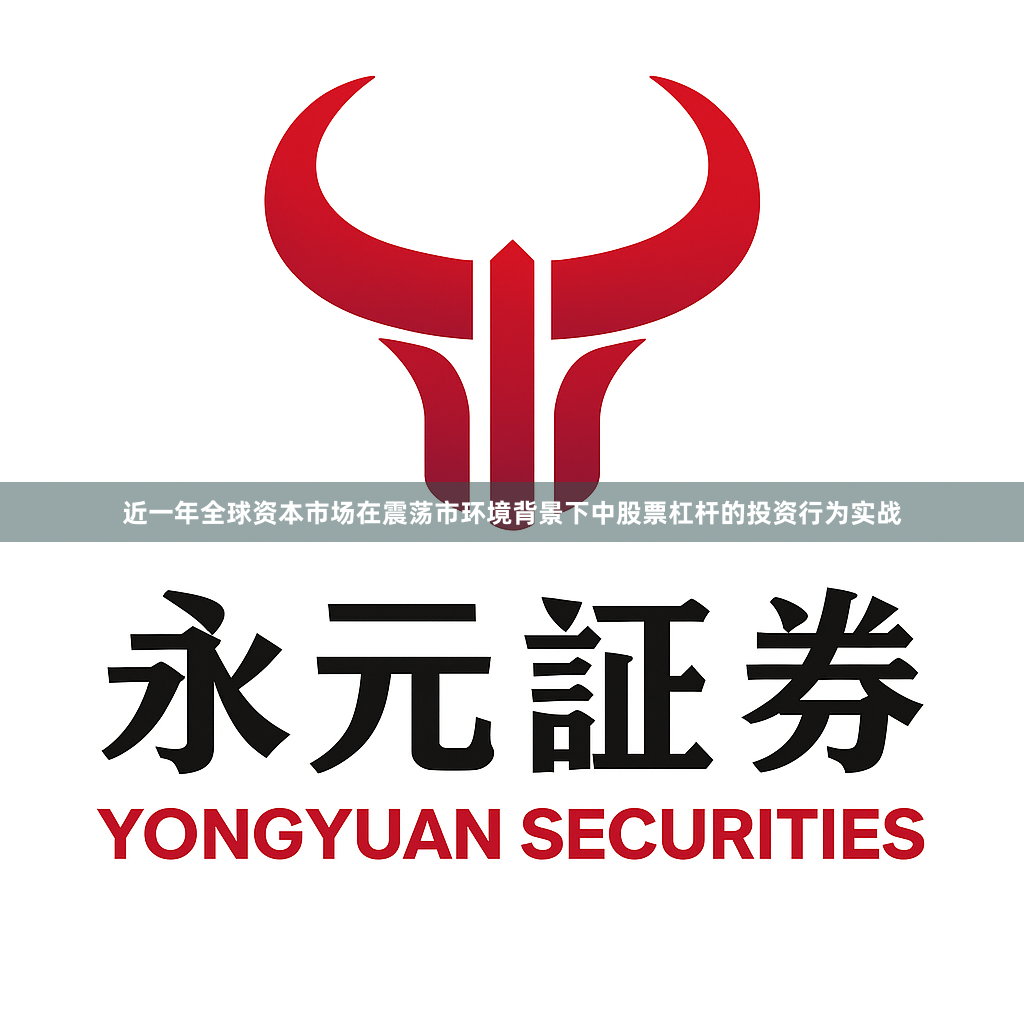 近一年全球资本市场在震荡市环境背景下中股票杠杆的投资行为实战